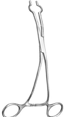 cardiovascular surgery ms 34701