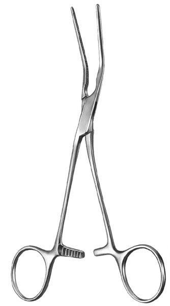cardiovascular surgery ms 34911 cardiovascular surgery ms 34911