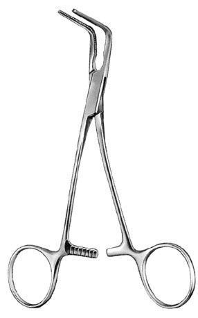 cardiovascular surgery ms 34941 cardiovascular surgery ms 34941