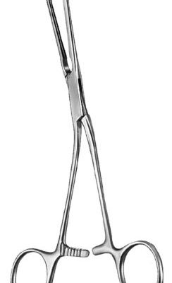 cardiovascular surgery ms 34946