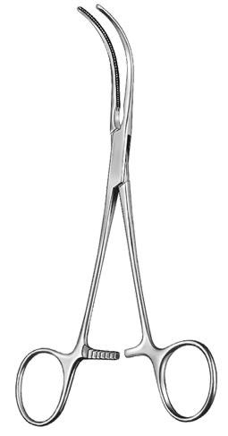 cardiovascular surgery ms 34951 cardiovascular surgery ms 34951