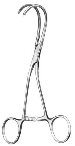 cardiovascular surgery ms 34961 cardiovascular surgery ms 34961