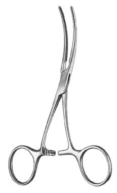 cardiovascular surgery ms 34981