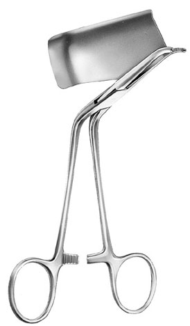 cranio maxillo facial surgery ms 28491 cranio maxillo facial surgery ms 28491