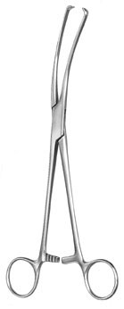 gynecology ms 36331