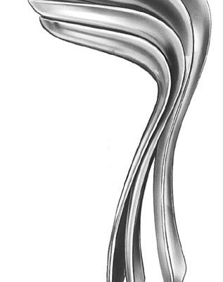 gynecology ms 36386