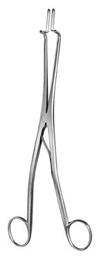gynecology ms 36486