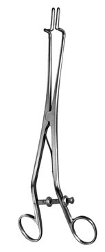 gynecology ms 36491