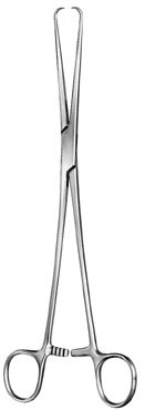 gynecology ms 36531