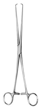 gynecology ms 36536