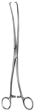 gynecology ms 36541