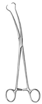 gynecology ms 36551