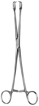 gynecology ms 36556