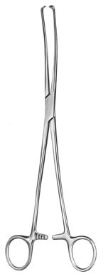 gynecology ms 36561