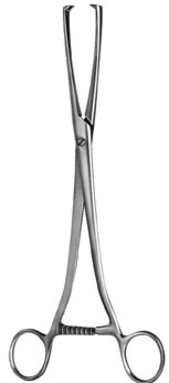 gynecology ms 36566