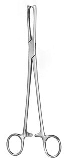 gynecology ms 36571