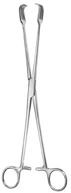 gynecology ms 36576