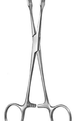 gynecology ms 36581