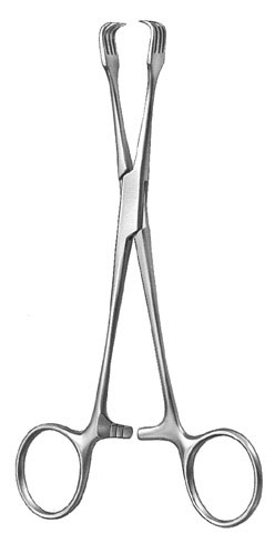 gynecology ms 36581 gynecology ms 36581