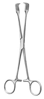 gynecology ms 36586
