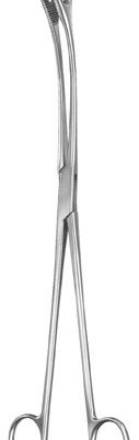 gynecology ms 36591
