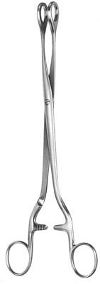 gynecology ms 36596