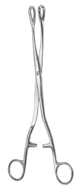 gynecology ms 36601