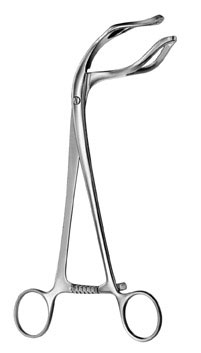 gynecology ms 36626
