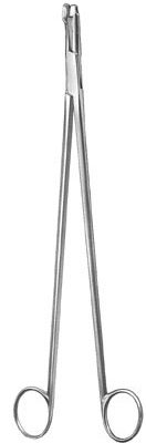 gynecology ms 36681