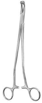 gynecology ms 36686