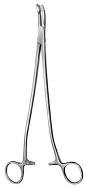 gynecology ms 36696