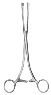 obstetrics ms 36791