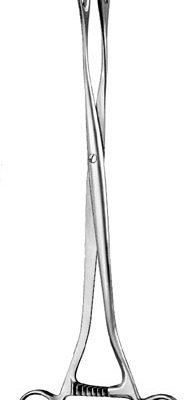 obstetrics ms 36801