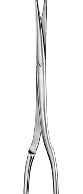obstetrics ms 36806