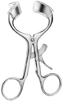 oral maxillo facial surgery ms 37956