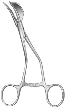 oral maxillo facial surgery ms 38411