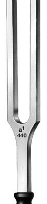 otology ms 36986