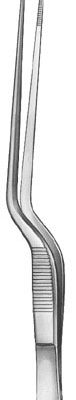 otology ms 37031