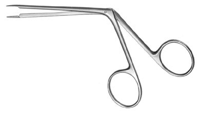 otology ms 37036