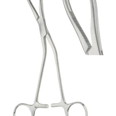 bone rongeur ai 02 56 02