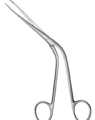 rhinology ms 37301