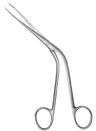 rhinology ms 37301 rhinology ms 37301
