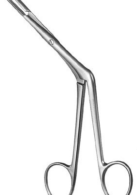 rhinology ms 37311