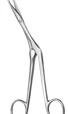 rhinology ms 37316