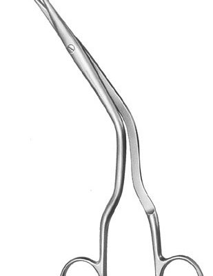 rhinology ms 37331