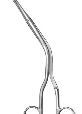 rhinology ms 37336