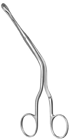 rhinology ms 37336 rhinology ms 37336