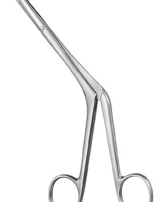 rhinology ms 37341