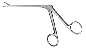 rhinology ms 37356