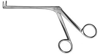 rhinology ms 37366